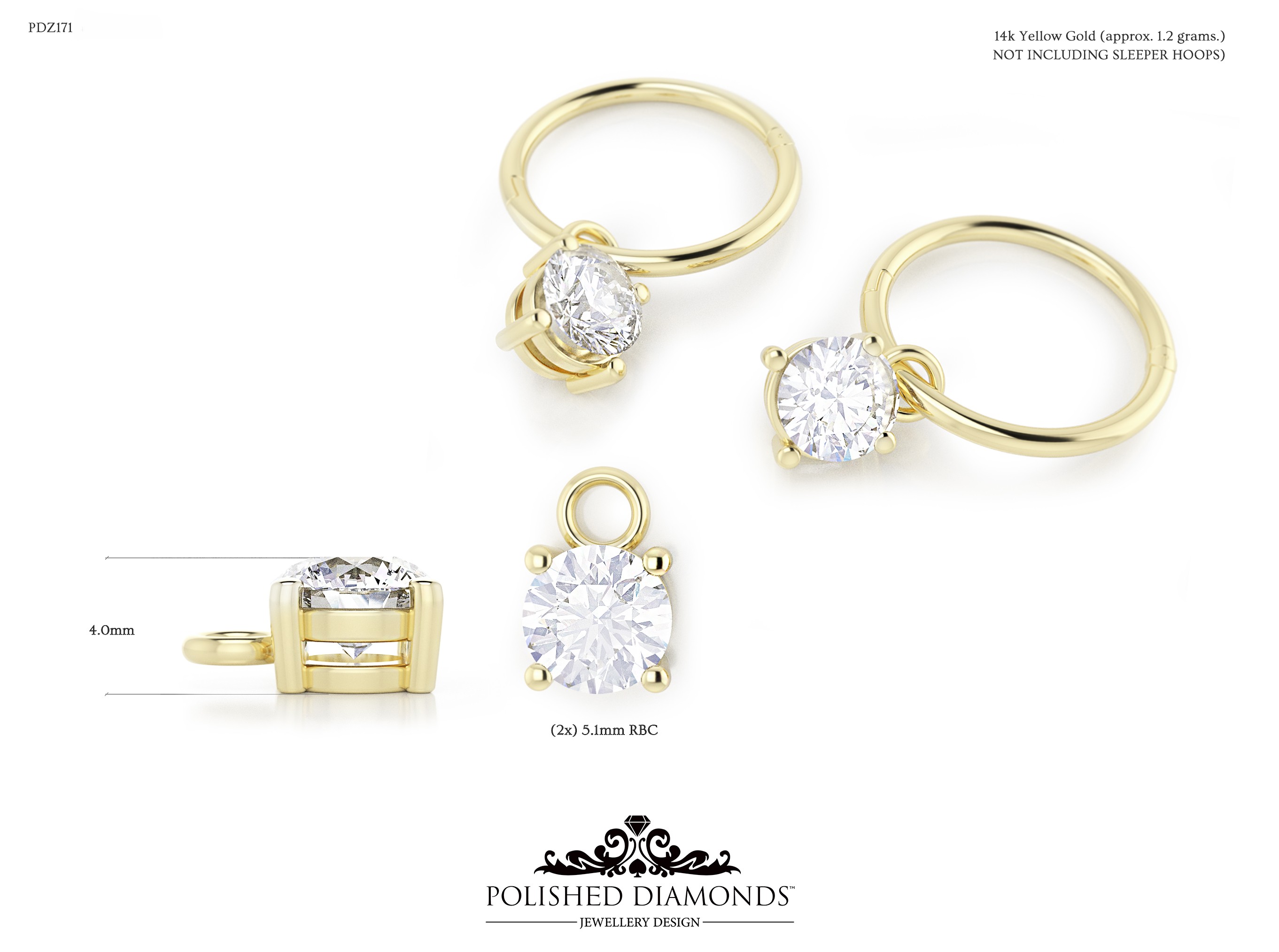 Earrings Jewellery ring – PDZ171